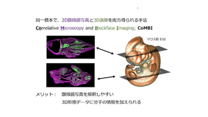 ガリポンさんプロジェクト横850.png