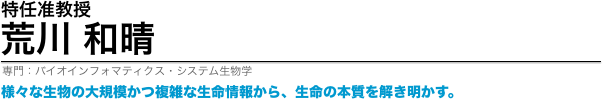 荒川和晴准教授