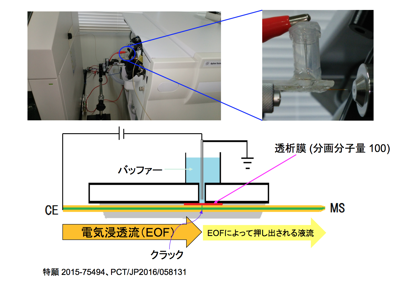 Hirayama_Fig2.png