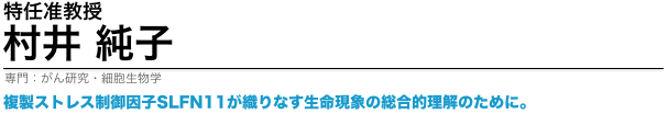 村井純子特任准教授