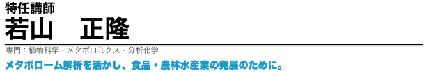 若山正隆特任講師