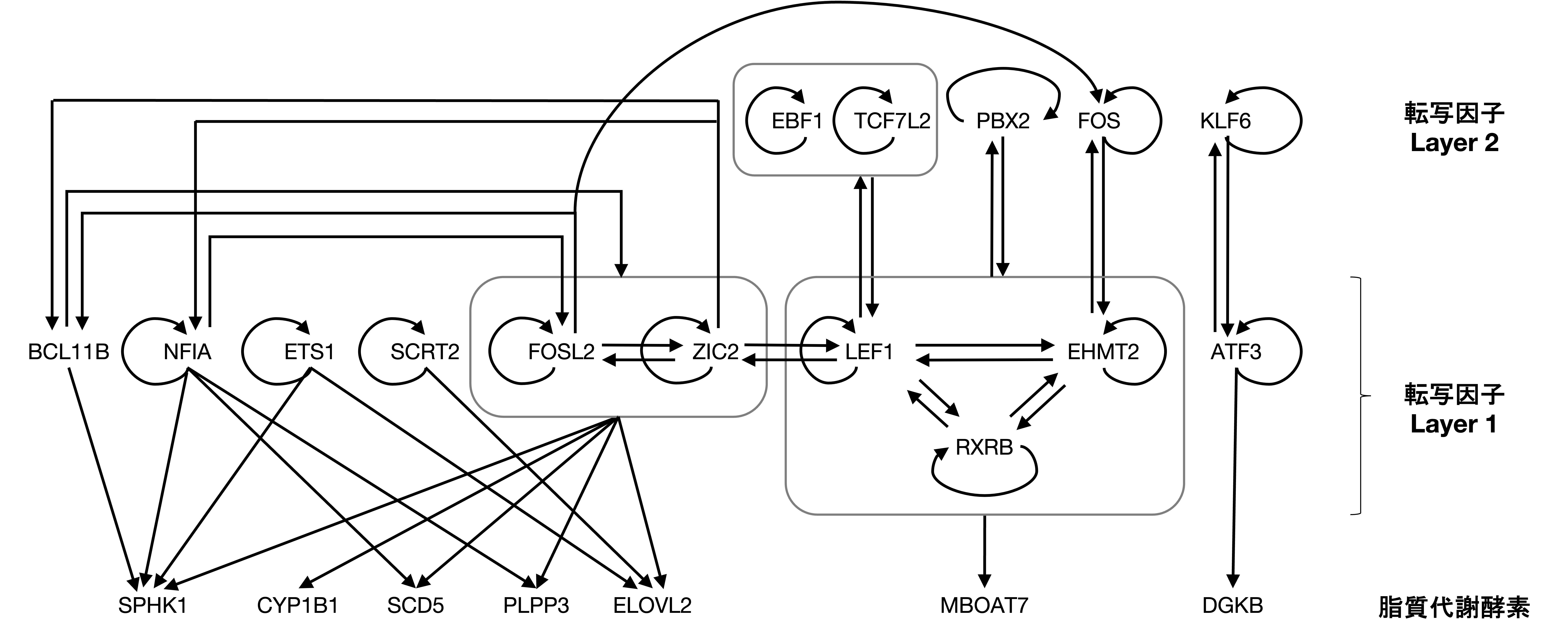 Figure1.jpg